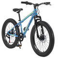 24 inch Fat Tire Mountain Bike V599989