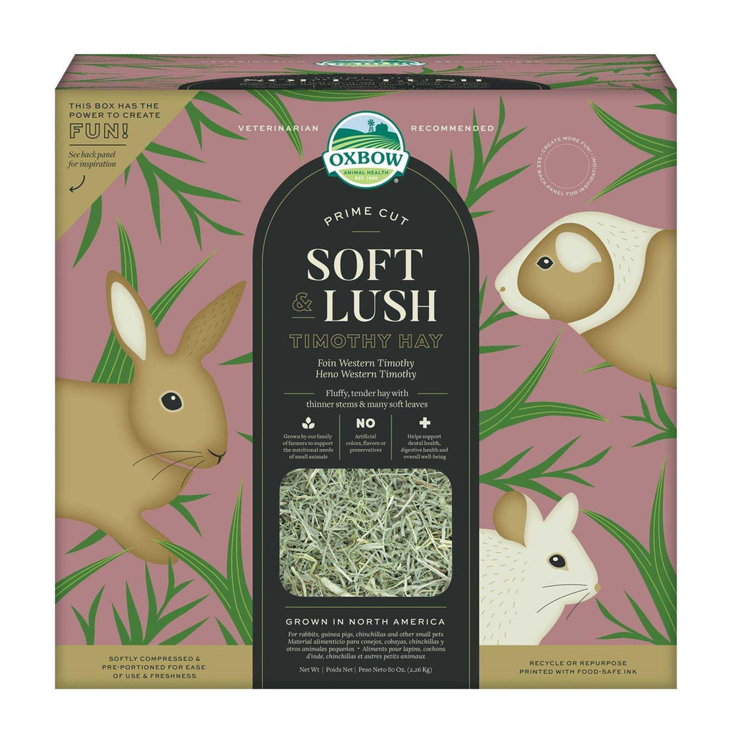 Timothy Hay Small Pet Food D218393
