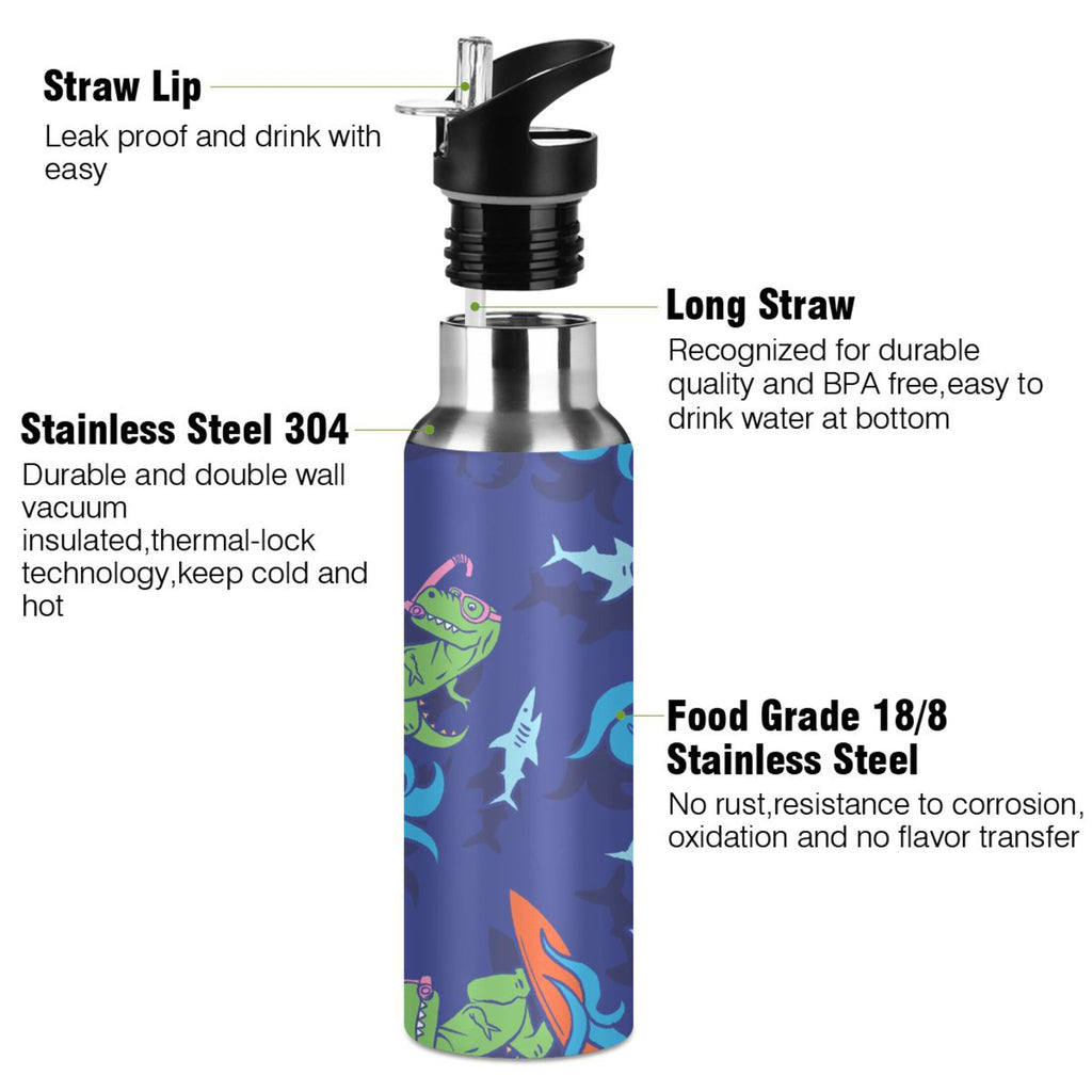 Stainless Steel Insulated Water Bottle with Straw Lid E6448