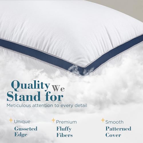 King Size Set of 2 Down Alternative Pillows U166676