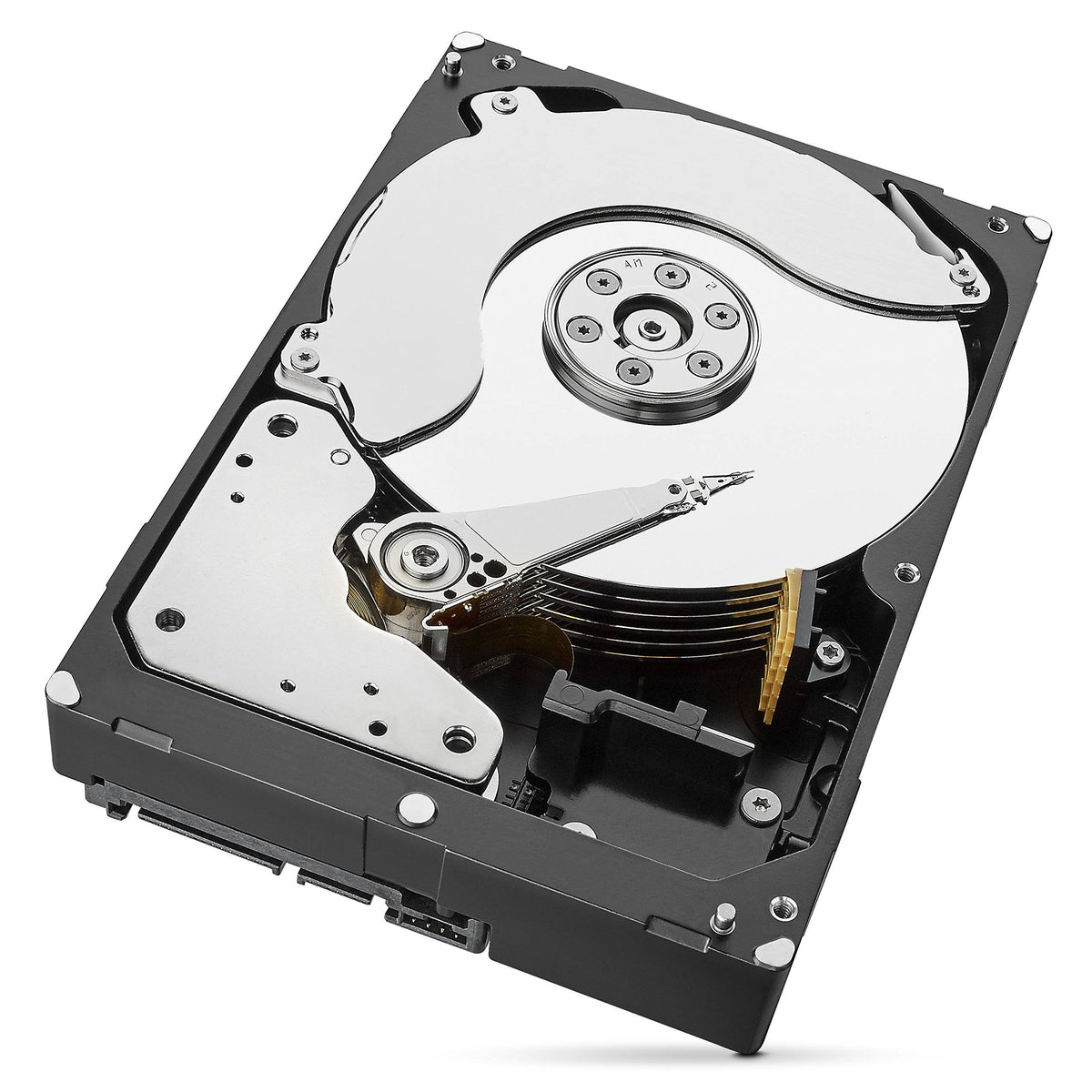 6TB NAS Internal Hard Drive P596