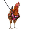 Chicken Harness with 6ft Leash U93136